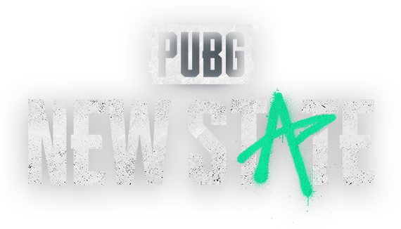 PUBG New State Mobile 300 NC